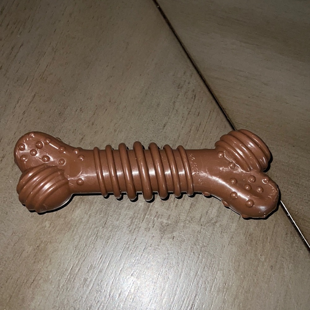 A Toy Dog Bone - Hard Toy